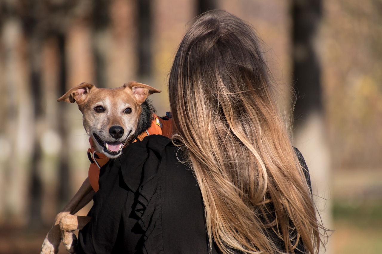 Traveling with Pets: A Comprehensive Guide to Traveling with your Furry Companion