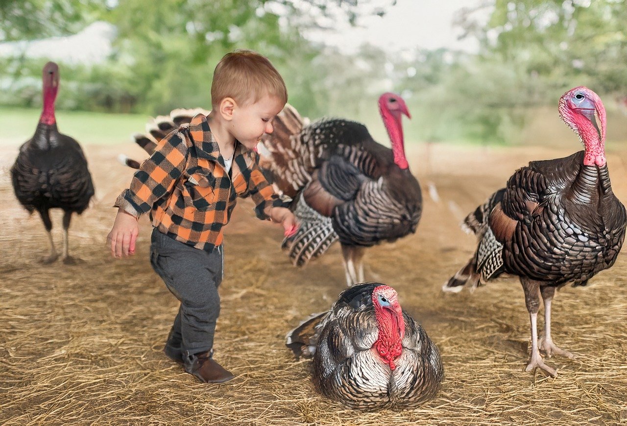 Thanksgiving: Window for Weekend Getaway